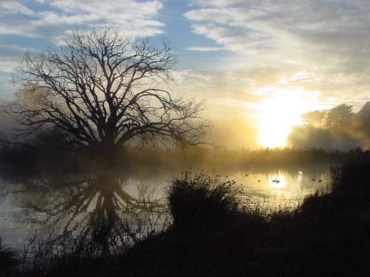 sunrise