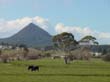 landscape-